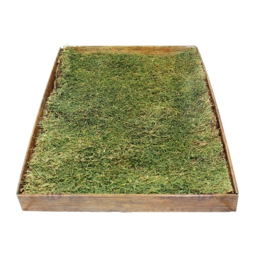 JR FARM ΓΡΑΣΙΔΙ ΓΑΤΑΣ ΣΕ ΔΙΣΚΟ 29X38X15CM