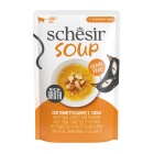 SCHESIR CAT SOUP ΤΟΝΟΣ & ΚΟΛΟΚΥΘΑ 40GR