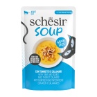 SCHESIR CAT SOUP ΆΓΡΙΟΣ ΤΟΝΟΣ & ΚΑΛΑΜΑΡΙΑ 40GR