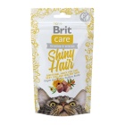 BRIT CARE CAT FUNCTIONAL SNACK SHINY HAIR 50GR