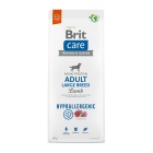 BRIT CARE HYPOALLERGENIC DOG ADULT LARGE LAMB & RICE 12KG