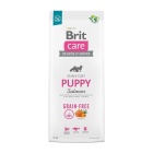BRIT CARE GRAIN FREE DOG PUPPY SALMON 12KG