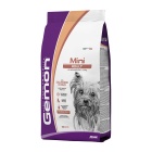 GEMON DOG ADULT MINI SALMON & RICE 20KG