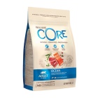 WELLNESS CORE ADULT OCEAN ΣΟΛΟΜΟΣ & ΤΟΝΟΣ 300GR