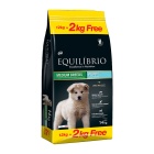 EQUILIBRIO PUPPY MEDIUM BREED 12KG + 2KG ΔΩΡΟ