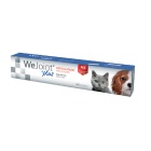WEJOINT PLUS PASTE DOGS & CATS 30ML ΧΟΝΔΡΟΠΡΟΣΤΑΤΕΥΤΙΚΟ