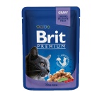 BRIT PREMIUM CAT ADULT POUCH CODFISH 100GR