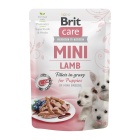 BRIT CARE MINI DOG PUPPY LAMB 85GR