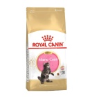 Royal Canin Maine Coon Kitten 2kg